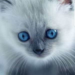 Meet your Posher, Nadia